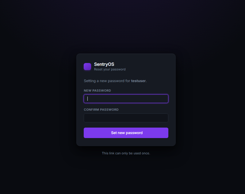 The user setting a new password from the single-use reset link