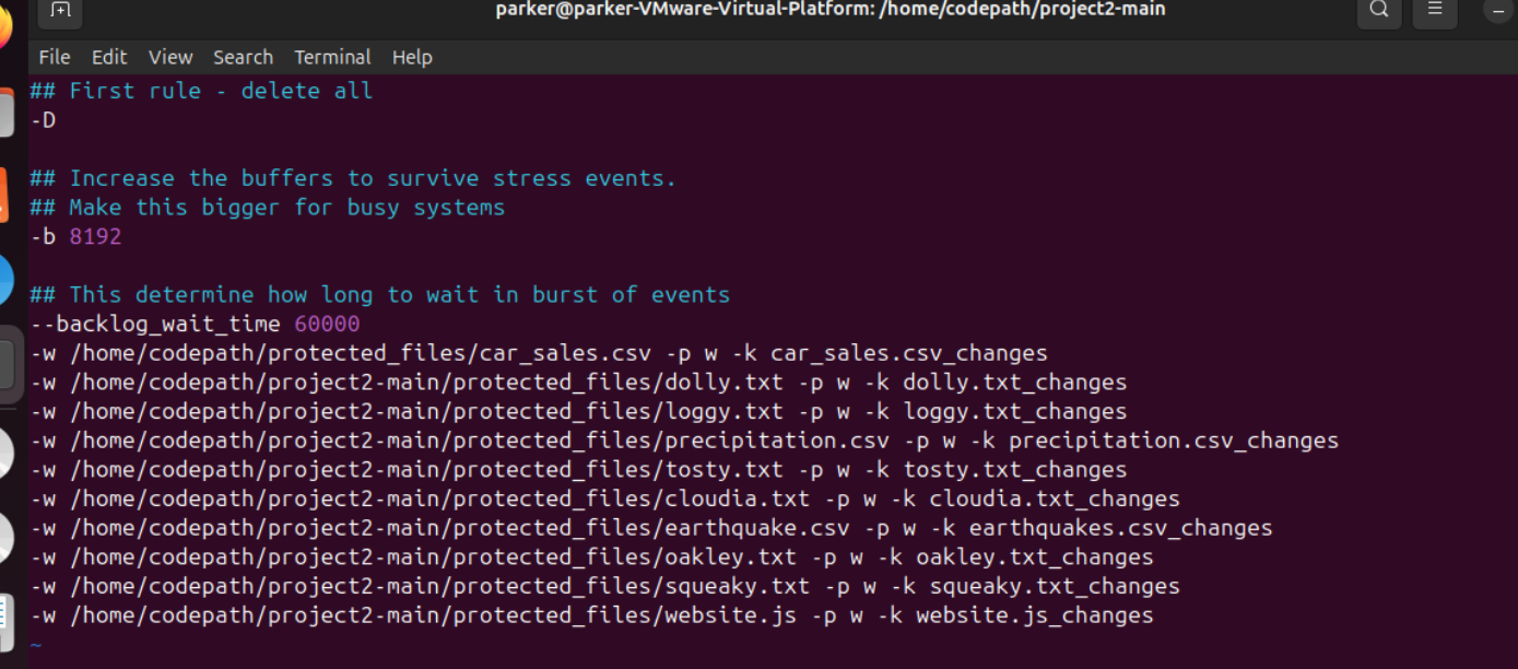 Finished audit.rules file with a separate write-watch rule and unique filter key per protected file