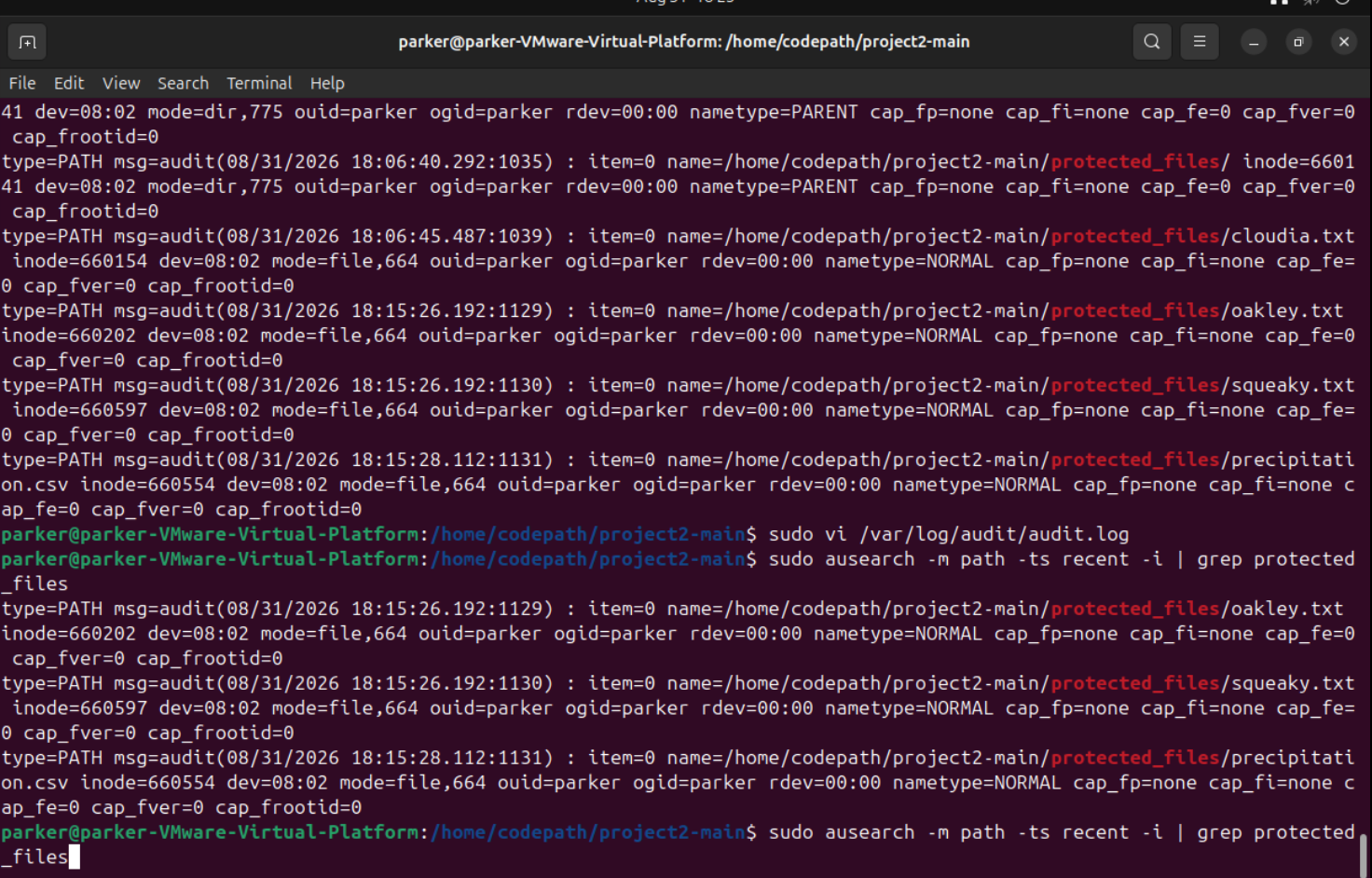 Terminal output of ausearch filtered by the protected_files rules, showing which files were touched